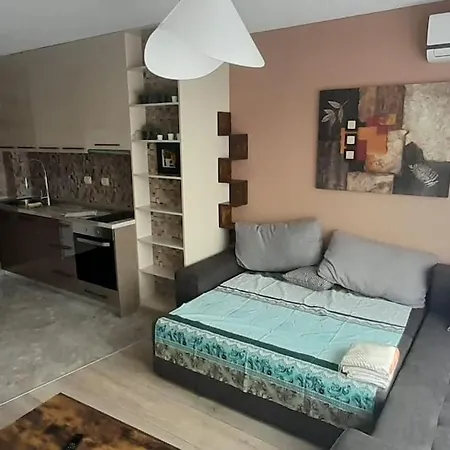 Stylish Near City, Entire Flat, 1 Bedroom, 1 Large Bed In Living Apartment Plovdiv